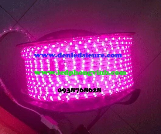 LED DÂY 220V 5050 HỒNG 