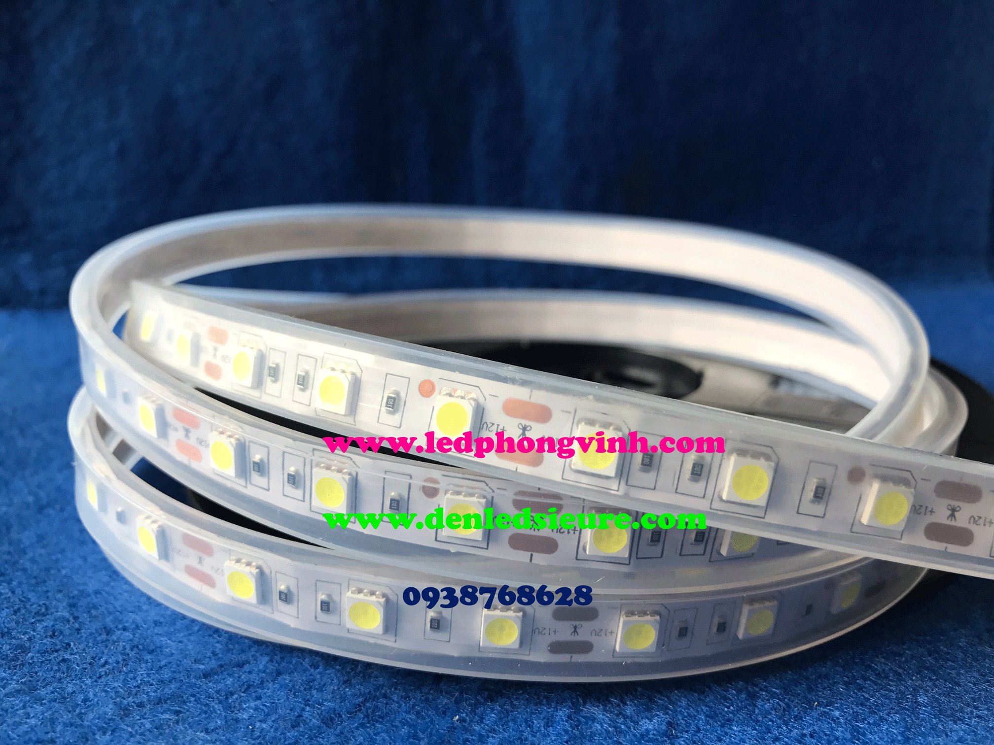 Led dây 24V trong ống TRẮNG/XANH LÁ/XANH DƯƠNG