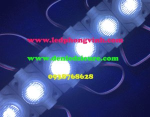 LED MODULE 1 BÓNG LÚP CAO TRẮNG