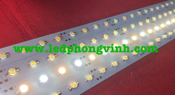 LED THANH 36 BÓNG 1W TRẮNG/VÀNG